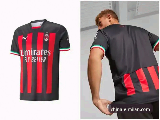 米兰体育平台视频内容全面解析：一位老罗森内里的深度使用体验